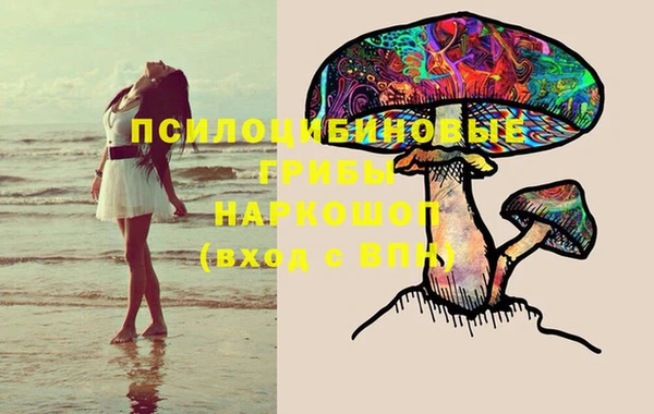 прущий лед Алексеевка