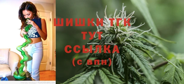 прущие грибы Няндома