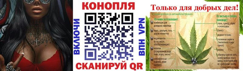 Бошки Шишки сатива Петровск